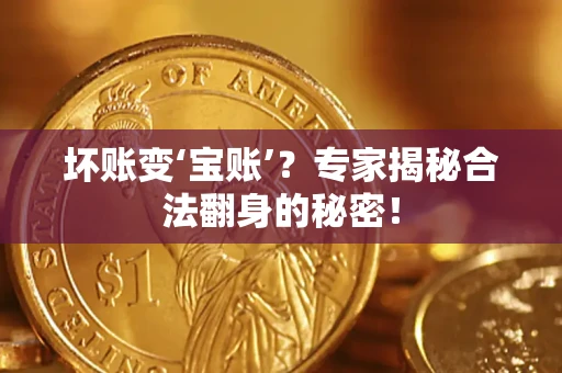 北京坏账变‘宝账’？专家揭秘合法翻身的秘密！