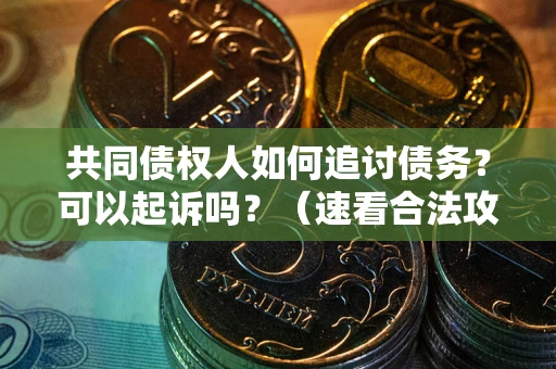 北京共同债权人如何追讨债务？可以起诉吗？（速看合法攻略）