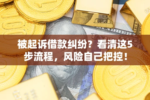 北京被起诉借款纠纷？看清这5步流程，风险自己把控！